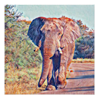 aquarell elephant