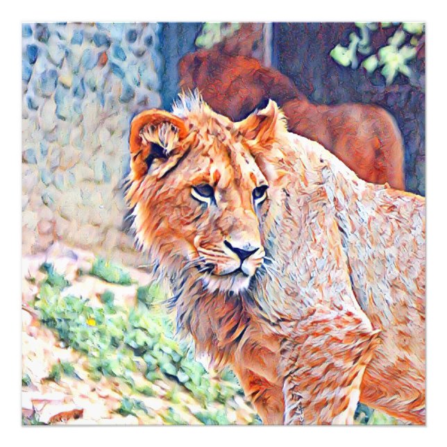 aquarell lion photo print (Front)
