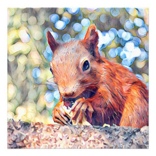 aquarell squirrel photo print