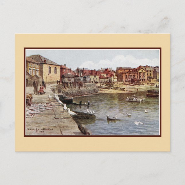 Aquarelle St Ives Cornwall Seagulls in the harbour Postcard (Front)