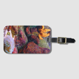 Aquarium bag luggage tag