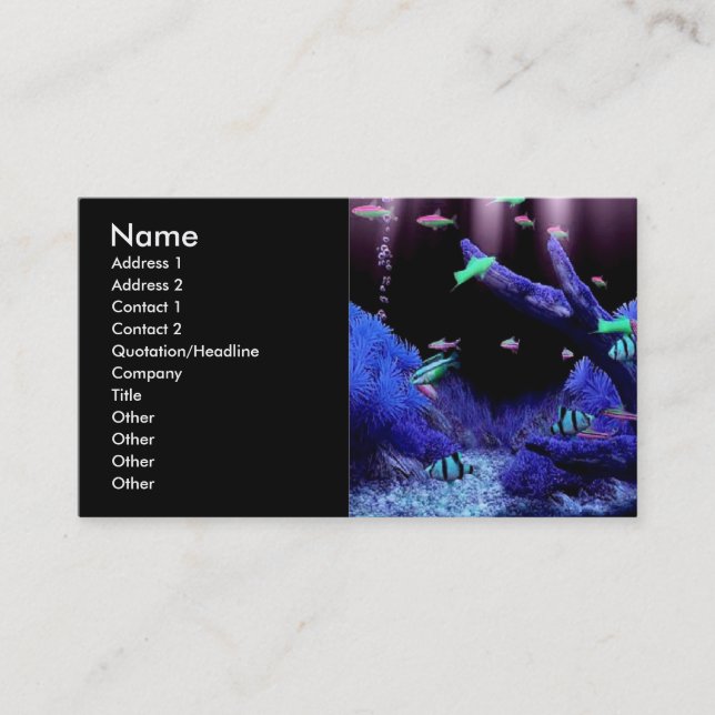 Aquarium Business Card (Front)