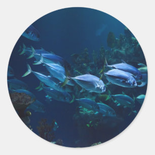 Aquarium Classic Round Sticker
