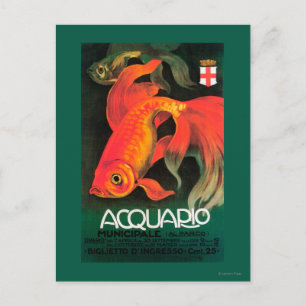 Aquarium & Municipal Park Promotional Poster Postcard