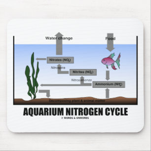Aquarium Nitrogen Cycle (Ecology) Mouse Mat
