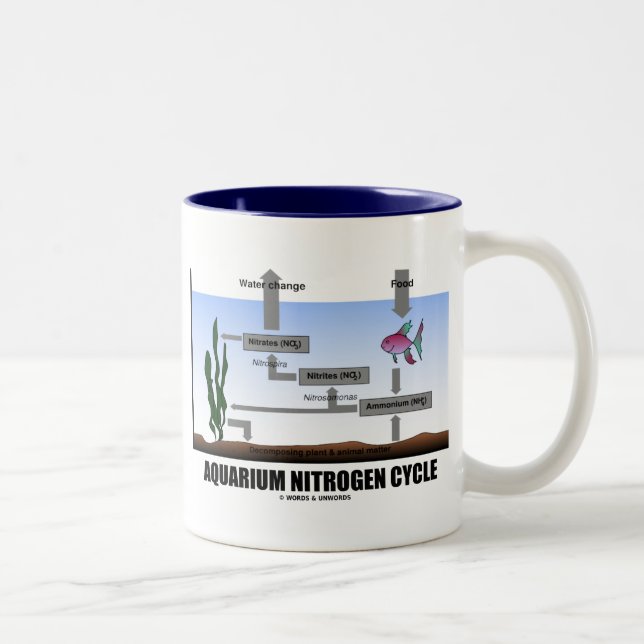 Aquarium Nitrogen Cycle (Ecology) Two-Tone Coffee Mug (Right)