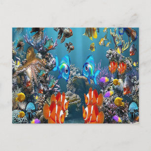 Aquarium Postcard
