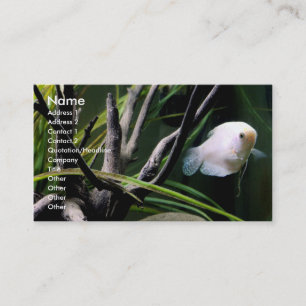 Aquarium Profile Cards