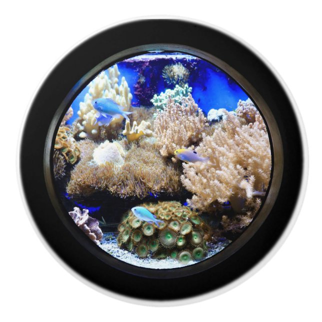 Aquarium Tropical fish and coral  Ceramic Knob (Front)