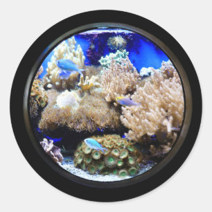 Aquarium Tropical fish and coral  Classic Round Sticker