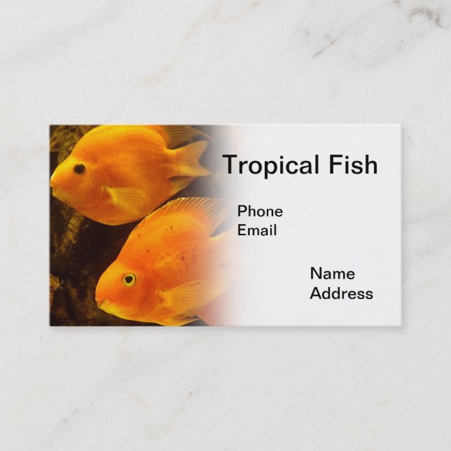 Aquarium with beautiful tropical orange colour business card (Front)