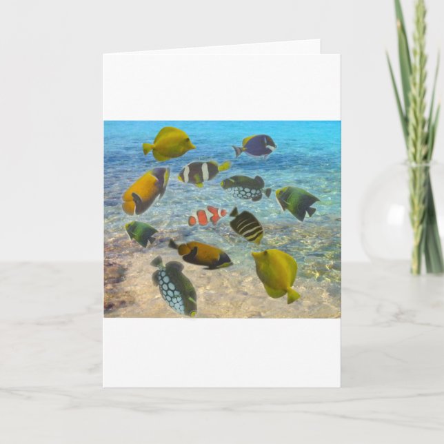 Aquarium with multicolor fishes thank you card (Front)