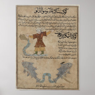 Aquarius and Pisces Poster