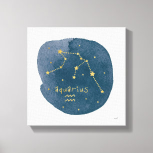 Aquarius Canvas Print