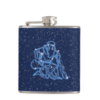 Aquarius Constellation and Zodiac Sign with Stars 