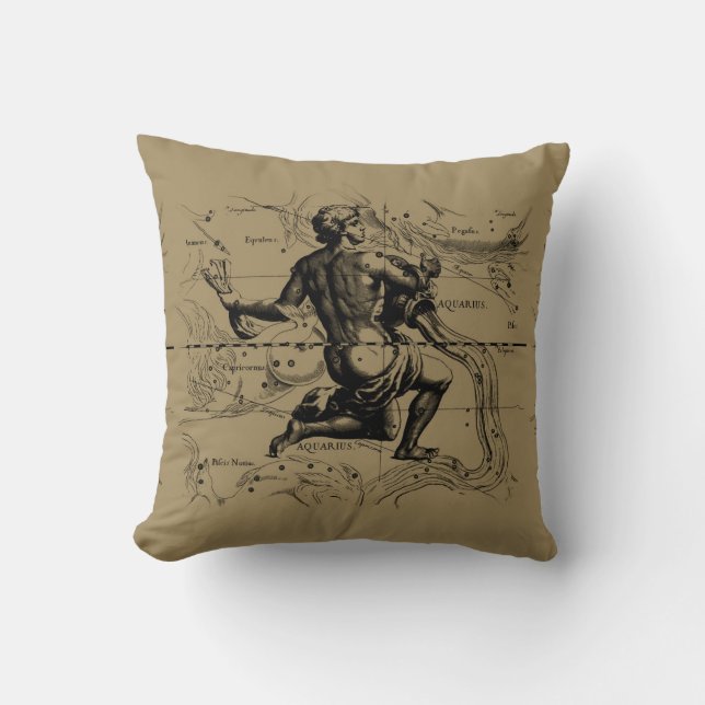 Aquarius Constellation Hevelius 1690 Engraving Cushion (Front)