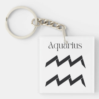 Aquarius: Echoes of Freedom Key Ring