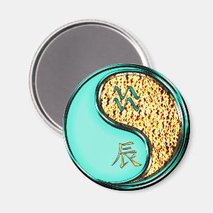 Aquarius & Fire Dragon Magnet