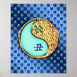 Aquarius & Fire Ox Poster