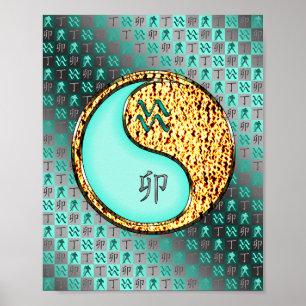 Aquarius & Fire Rabbit Poster