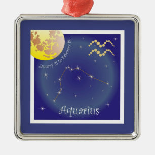 Aquarius January 21 to February 18 Ornament
