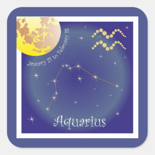 Aquarius January 21 to February 18 Sticker