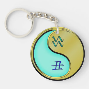 Aquarius & Metal Ox Key Ring