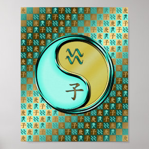 Aquarius & Metal Rat Poster