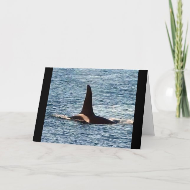 Aquarius Orca Customisable West Coast Killer Whale Card (Front)