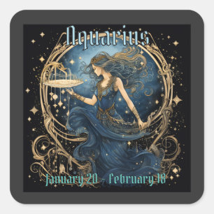 Aquarius square sticker