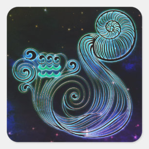 aquarius the water carrier zodiac stickers