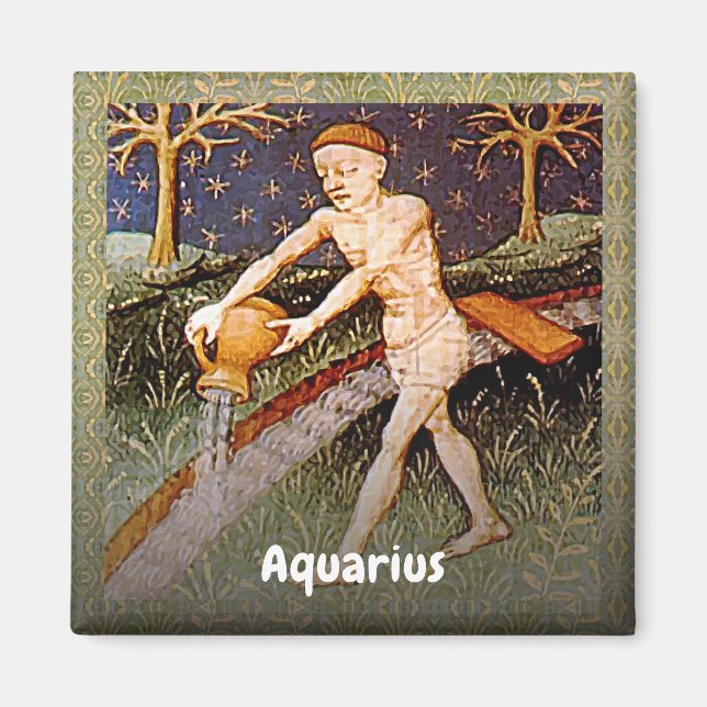 Aquarius Water Bearer Zodiac Sign Birthday Party Magnet (Front)