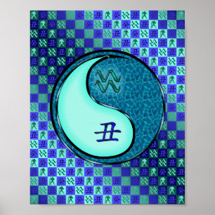 Aquarius & Water Ox Poster