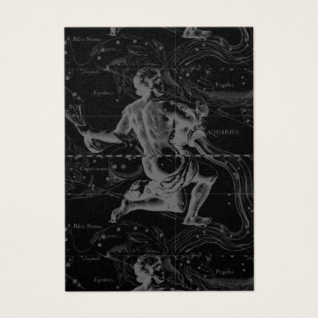 Aquarius Zodiac Constellation Hevelius 1690 (Front)