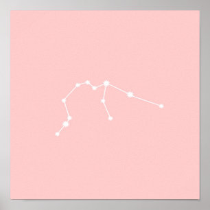Aquarius Zodiac Constellation Modern Pink Poster