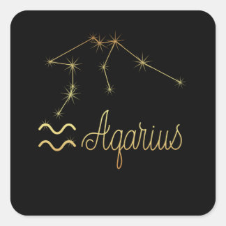 Aquarius Zodiac Sign Square Sticker
