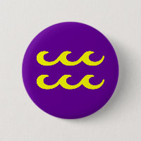 AQUARIUS, ZODIACAL SIGN