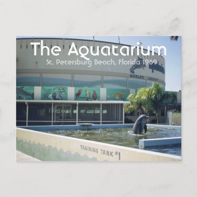 Aquatarium St. Pete Beach Florida Postcard (Front)