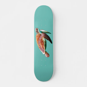 aquatic animal skateboard