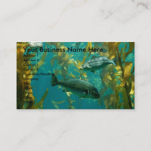 Aquatic Card