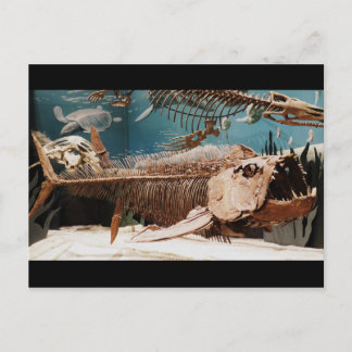 Aquatic Dino Postcard