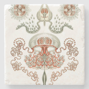 Aquatic Life ~ Haeckel ~ Jellyfish Stone Coaster