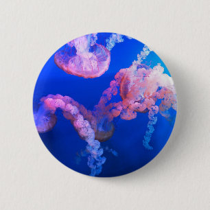 Aquatic Nautical Photos Marine Animal Photography  6 Cm Round Badge