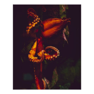 Aquatic Nautical Photos Marine Animal Photography Poster