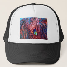 Aquatic Nautical Photos Marine Animal Photography 