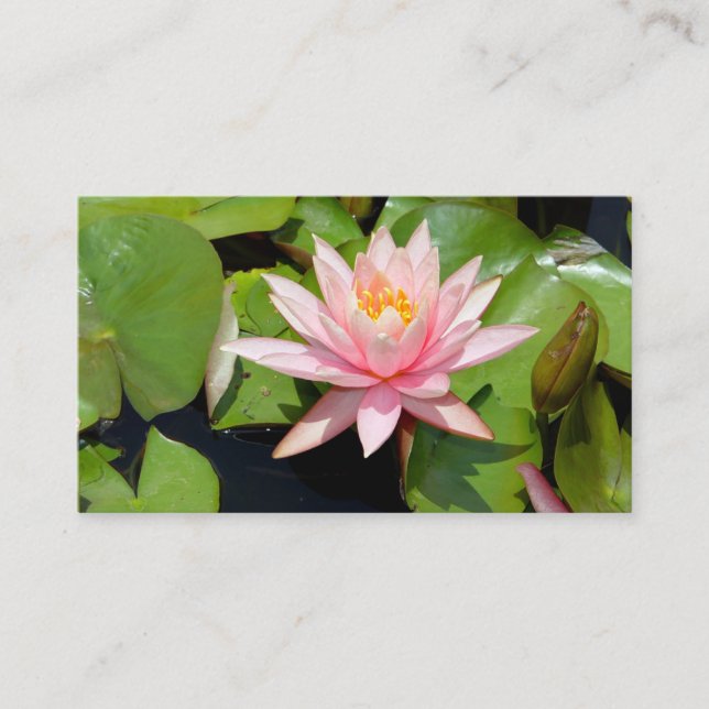  Aquatic Plant Supplier Business Card (Front)