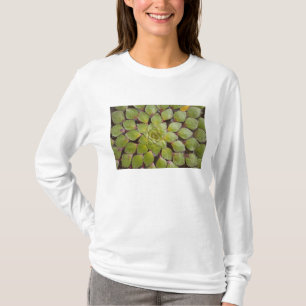 Aquatic Plants Rupununi, Guyana. T-Shirt