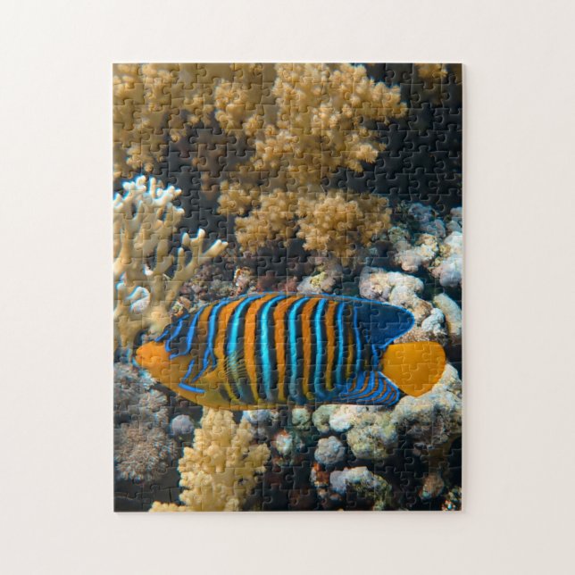 Aquatic Puzzles Nautical Photos Marine Fish Puzzle (Vertical)