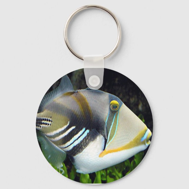 aquatic scenes trigger fish key ring (Front)