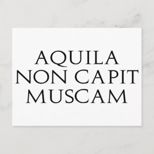 Aquila Non Capit Muscam Postcard